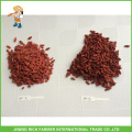 Extrémité de baies Goji séchée en Chine Goji Berry 380g grains / 50g Prix bas